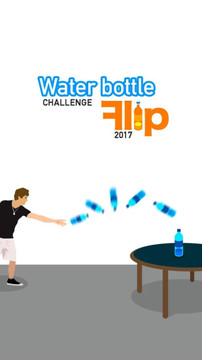 Water Bottle Flip Challenge游戏截图1