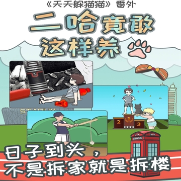 竟然养二哈游戏截图1