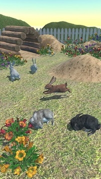 兔子朋友游戏截图2