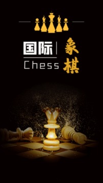 简单国际象棋游戏截图2