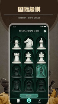 简单国际象棋游戏截图1