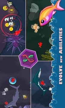 饥饿的小红鱼游戏截图3