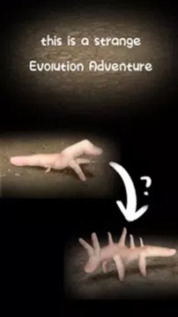 手指错觉游戏截图3