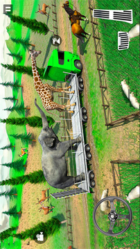 动物运输卡车越野游戏截图2