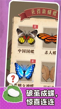 小小养蚕师游戏截图4