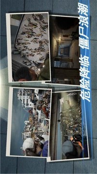 幸存者危机游戏截图1