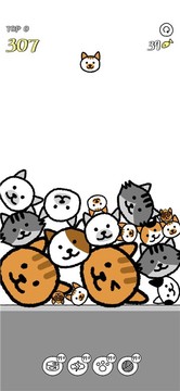 猫咪真的很爆爆游戏截图1