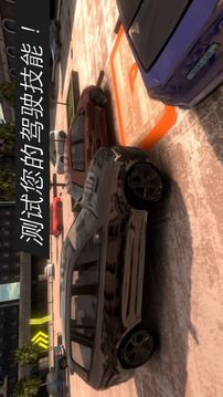 真正的停车场停车大师游戏截图4