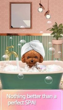 宠物化妆师游戏截图1