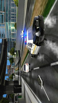 警车驾驶模拟游戏截图4
