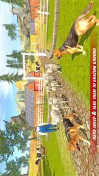 牧羊犬生存模拟游戏截图3
