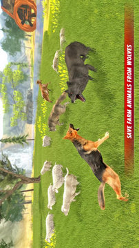 牧羊犬生存模拟器游戏截图3