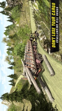 Off Road Truck Driver游戏截图1