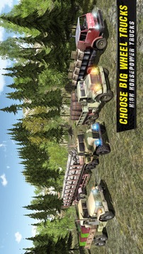 Off Road Truck Driver游戏截图2