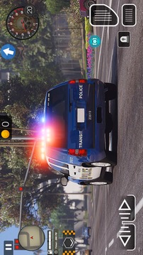 疯狂的警察司机游戏截图1