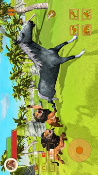 Wild Forest Horse Simulator游戏截图1
