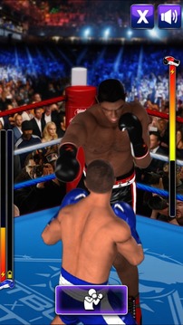 3D真实拳击功夫摔跤格斗游戏截图2