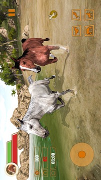 Wild Forest Horse Simulator游戏截图4