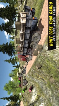 Off Road Truck Driver游戏截图3