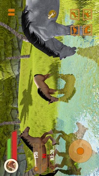 Wild Forest Horse Simulator游戏截图3