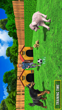 Virtual Dog Pet Simulator 3D游戏截图4