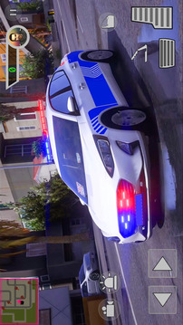 警车警察 2022Police Sim游戏截图1