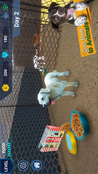 Virtual Pet Shelter Simulator游戏截图1