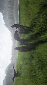 theisle恐龙岛 2023游戏截图3