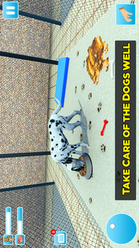 Animal Shelter Dog Rescue Game游戏截图2