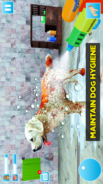 Animal Shelter Dog Rescue Game游戏截图3