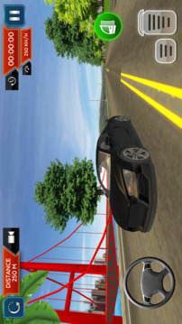 Real Car Driving School Sim 3D游戏截图4