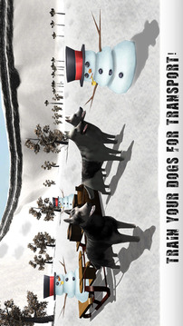 Winter Snow Dog Sledding Ski Simulator 3D游戏截图1