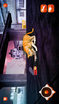 失落的猫生活城市生存游戏截图3