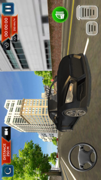 Real Car Driving School Sim 3D游戏截图2