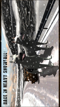 Winter Snow Dog Sledding Ski Simulator 3D游戏截图3