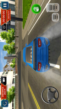 Real Car Driving School Sim 3D游戏截图3