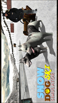 Winter Snow Dog Sledding Ski Simulator 3D游戏截图4