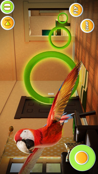 鹦鹉模拟器宠物世界3D游戏截图4