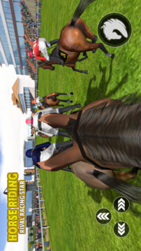 Horse Riding Rival Racing Star游戏截图5