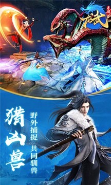 龙武版游戏截图1