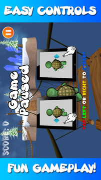 Baby Turtle Race of Dragons游戏截图3