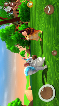 松鼠宠物生活模拟3D游戏截图4