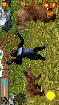 Bear Simulator Wild Animal游戏截图1