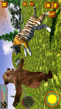 Bear Simulator Wild Animal游戏截图5