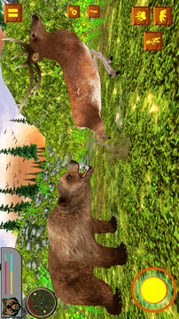 Bear Simulator Wild Animal游戏截图2