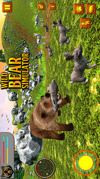 Bear Simulator Wild Animal游戏截图4