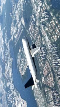 飞行飞行员飞机模拟游戏截图4