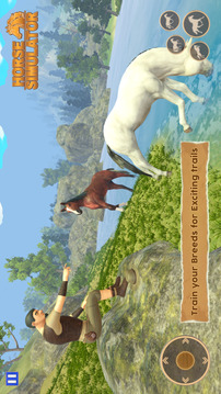 骑马动物游戏截图3