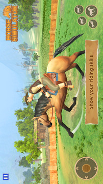 骑马动物游戏截图2