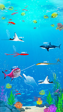 Merge & Eat Shark Evolution游戏截图4